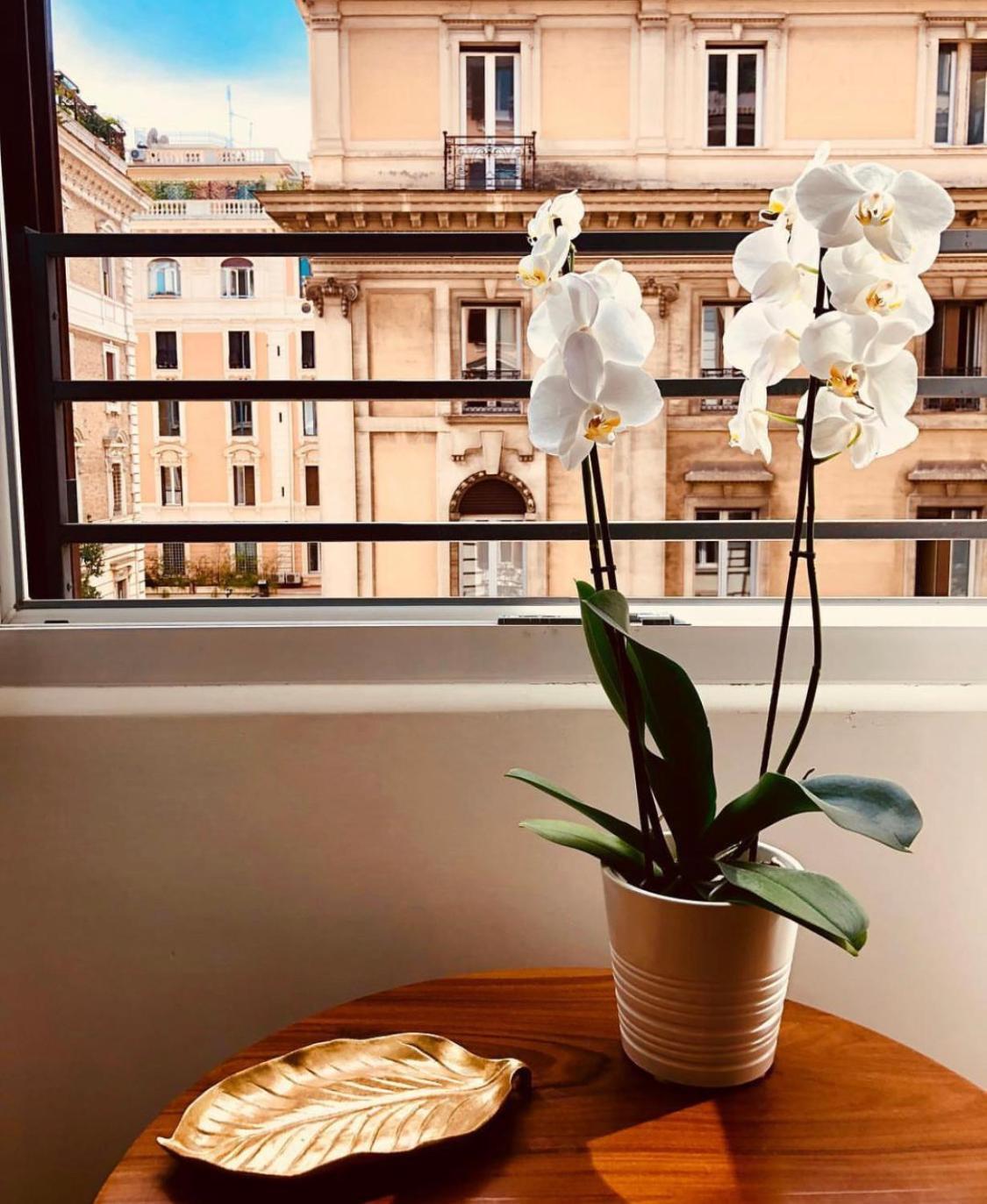 ローマ 900 Piazza Del Popolo Bed & Breakfast エクステリア 写真